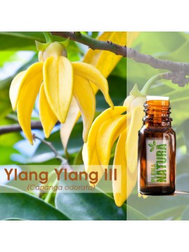 Ylang Ylang III - Óleo Essencial